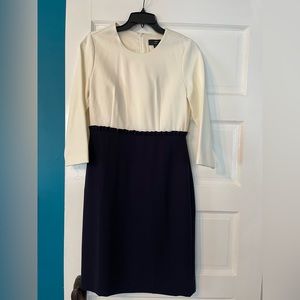 Professional J Crew white and navy dress